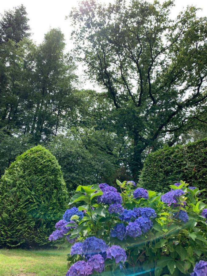 فيلا Zonnebos, Private Garden, Fresh Air, Relax! أوتيرلو المظهر الخارجي الصورة