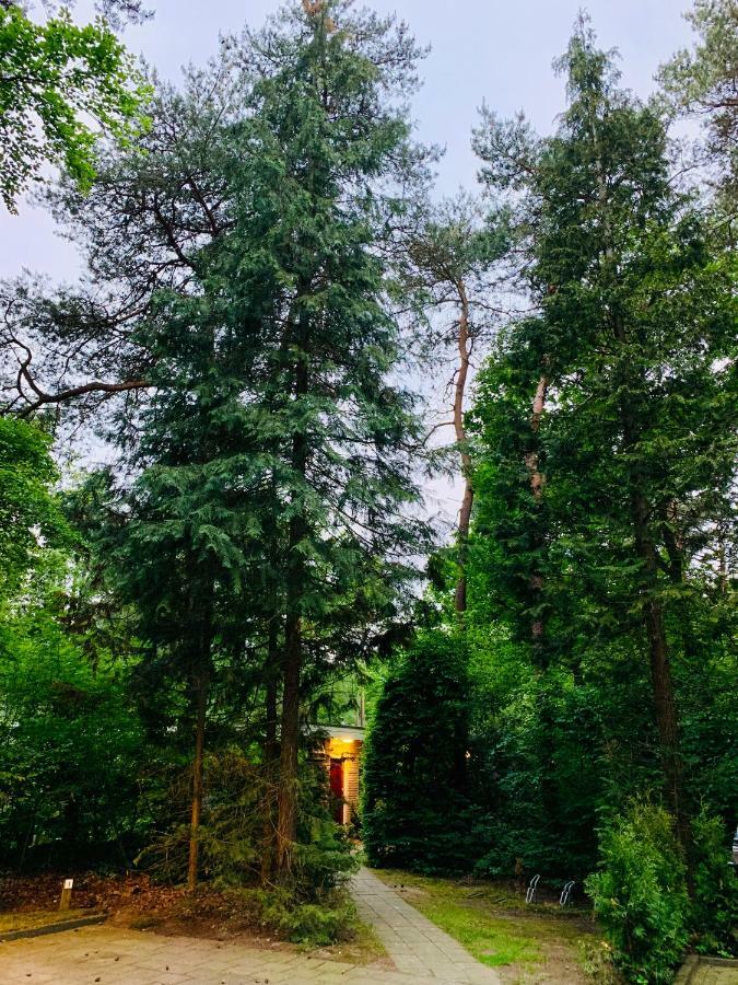 فيلا Zonnebos, Private Garden, Fresh Air, Relax! أوتيرلو المظهر الخارجي الصورة